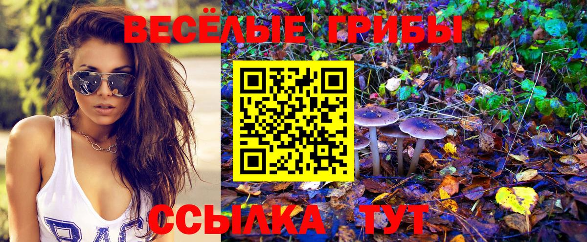 Амурск  Псилоцибиновые грибы Cubensis  Вход с VPN  Галлюциногенные грибы Psilocybine cubensis 